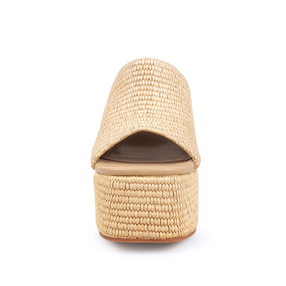 Antonio - Image 5