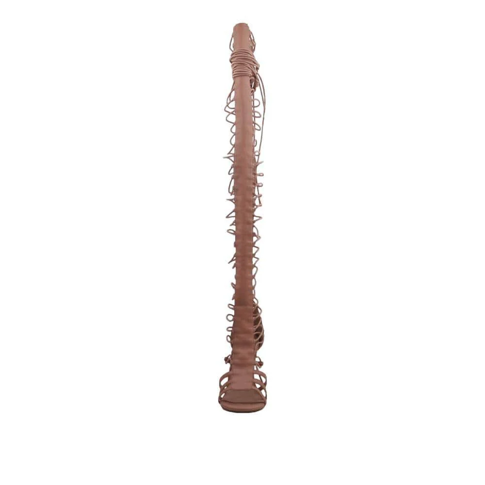 Arilia - Image 12